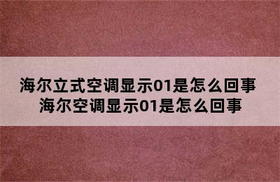 海尔立式空调显示01是怎么回事 海尔空调显示01是怎么回事